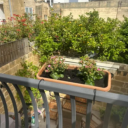 公寓 Iris -paola Modern Townhouse 佩奥拉