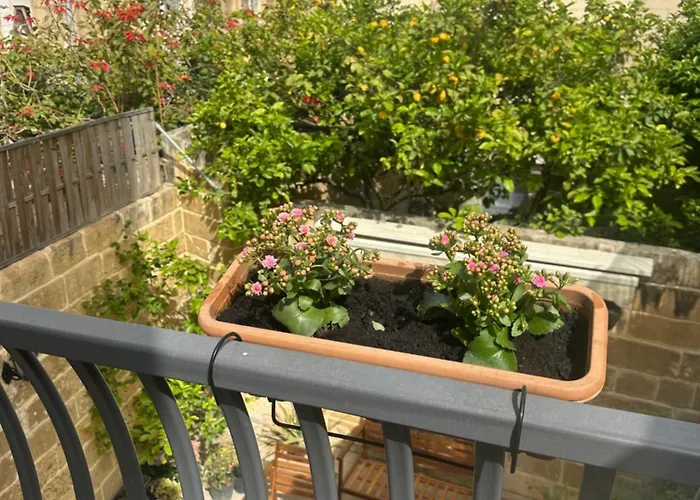 Apartment Iris -paola Modern Townhouse Paola